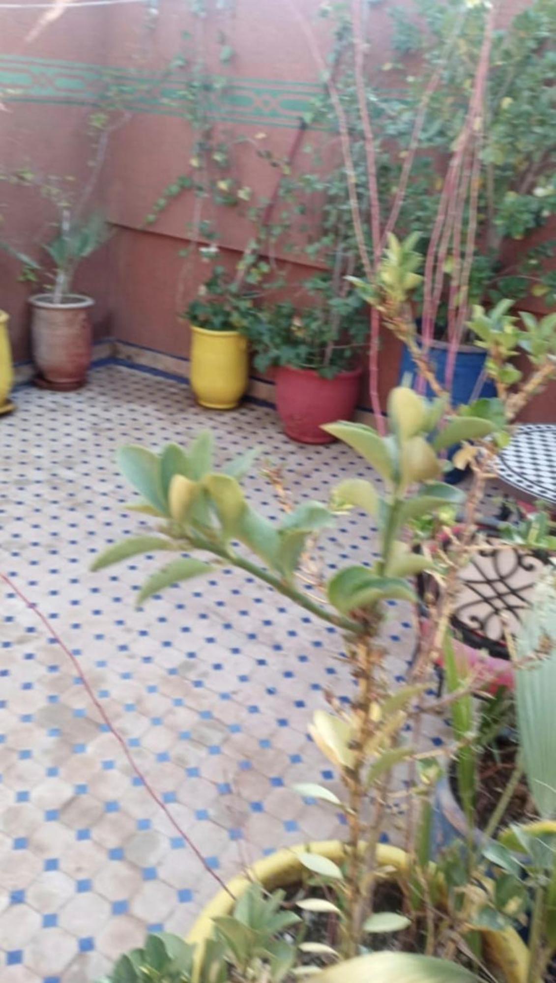 Charmant Riad Au Coeur De Marrakech Marrakesch Exterior foto